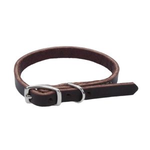 Circle T® Latigo Leather Town Dog Collar, Latigo, 3/8" x 10"