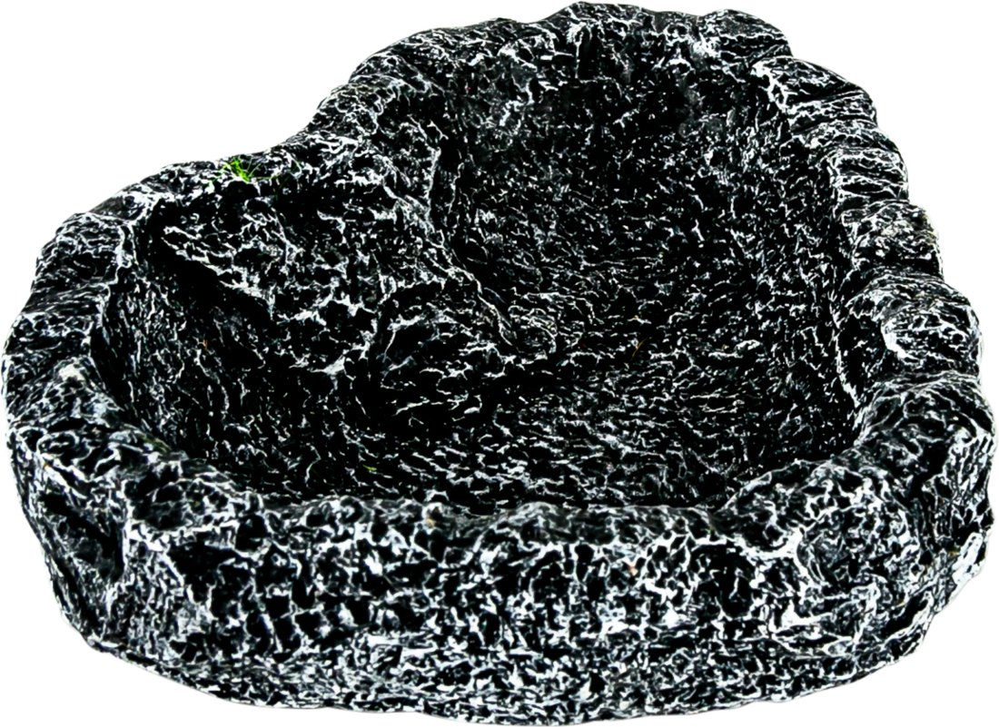 Terrassic Terrarium Décor, Corner Bowl, Medium