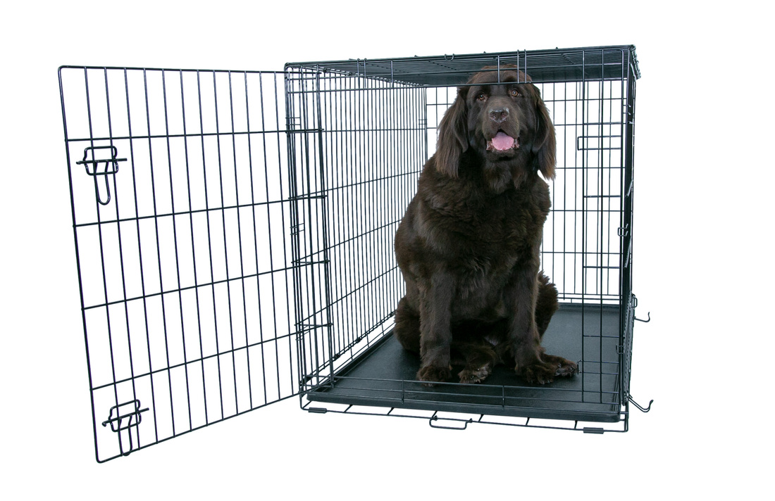 Play On Single Door Crate - Image 5