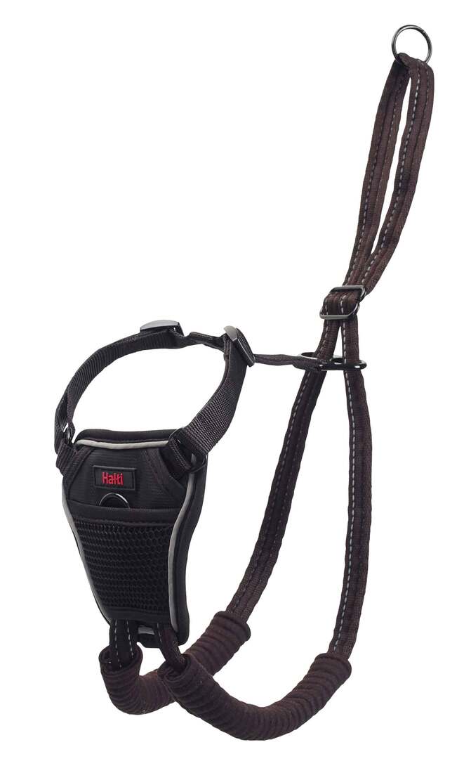 Company Of Animals No Pull Harness