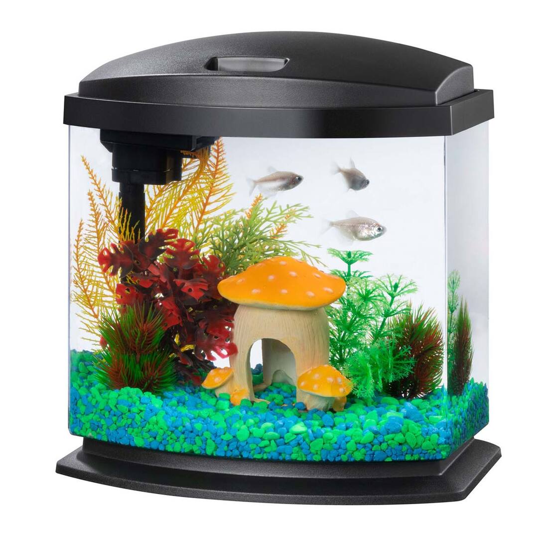 Aqueon LED MiniBow Kit with SmartClean Technology™, Black, 2.5 Gallon