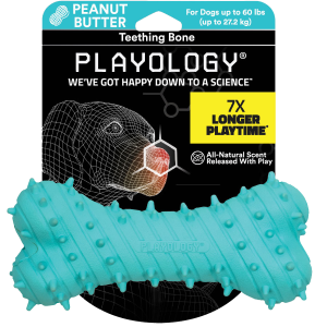 Playology Teething Bone Dog Toy, Peanut Butter, Large