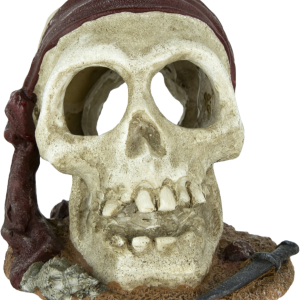 Fins First Aquarium Décor, Pirate Skull, Medium