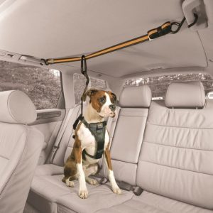 Kurgo Auto Zip Line for Dogs - Black/Orange