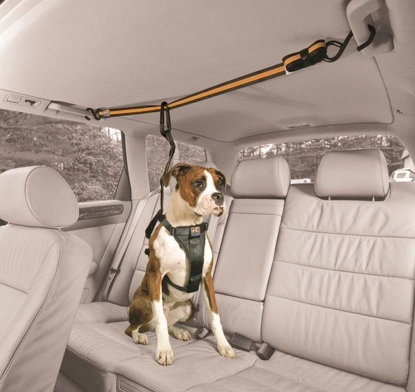 Kurgo Auto Zip Line for Dogs - Black/Orange
