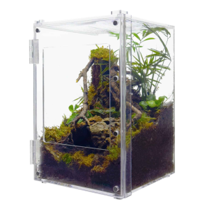 Herpcult Acrylic Enclosure, Front Open, Small, 8X8X12