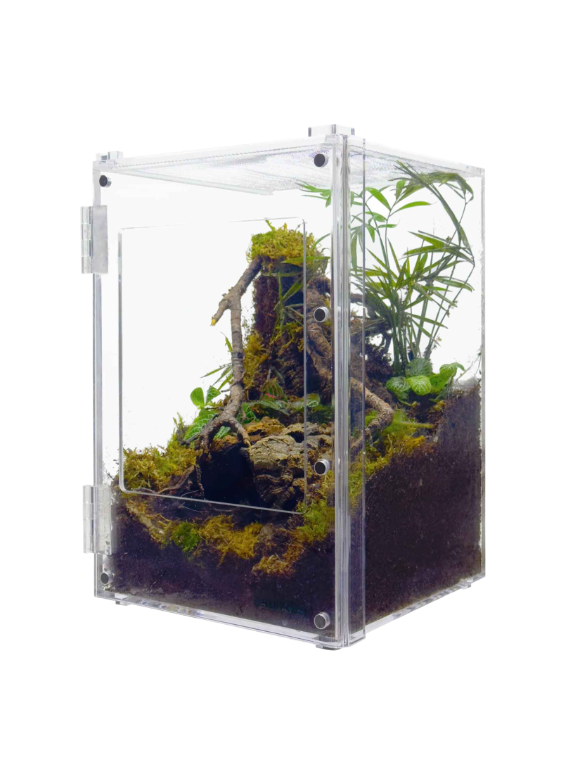 Herpcult Acrylic Enclosure, Front Open, Small, 8X8X12