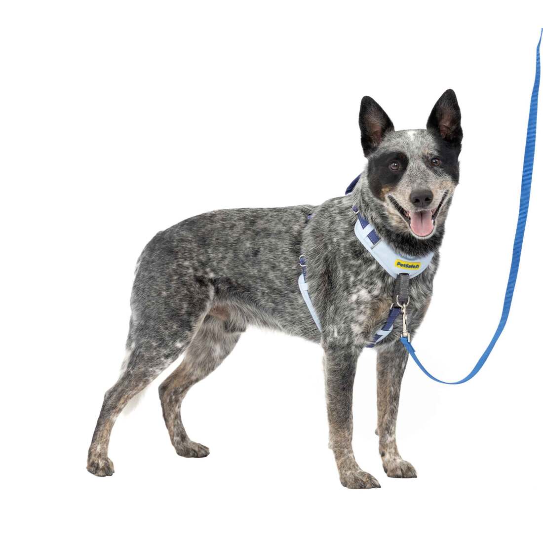 PetSafe® Easy Walk® Harness - Image 4