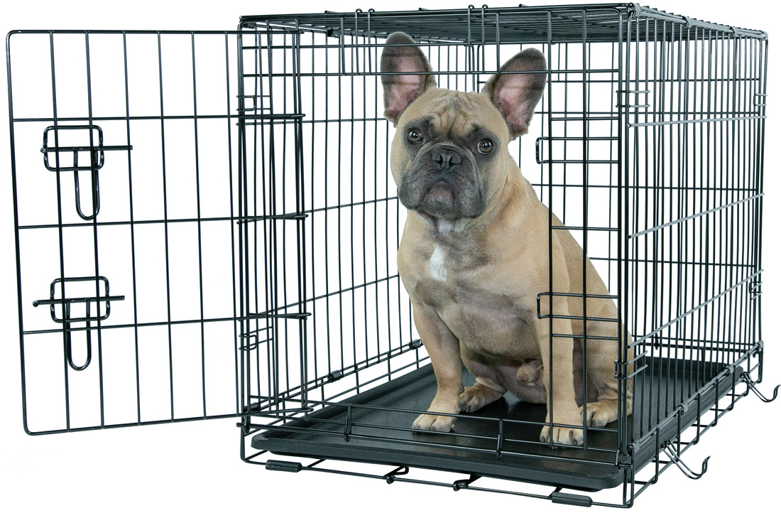 Play On Single Door Crate - Image 2