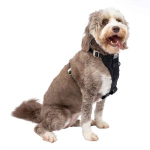 Kurgo Enhanced Strength Tru-Fit Smart Dog Harness With Steel Nesting Buckles