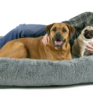 Play On Human-Sized Dog Bed