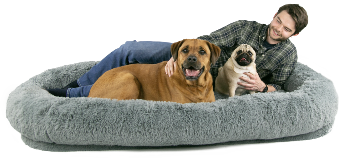 Play On Human-Sized Dog Bed