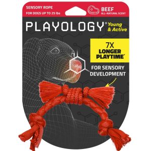 Playology Beef Scented Puppy Sensory Rope Dog Toy, Small