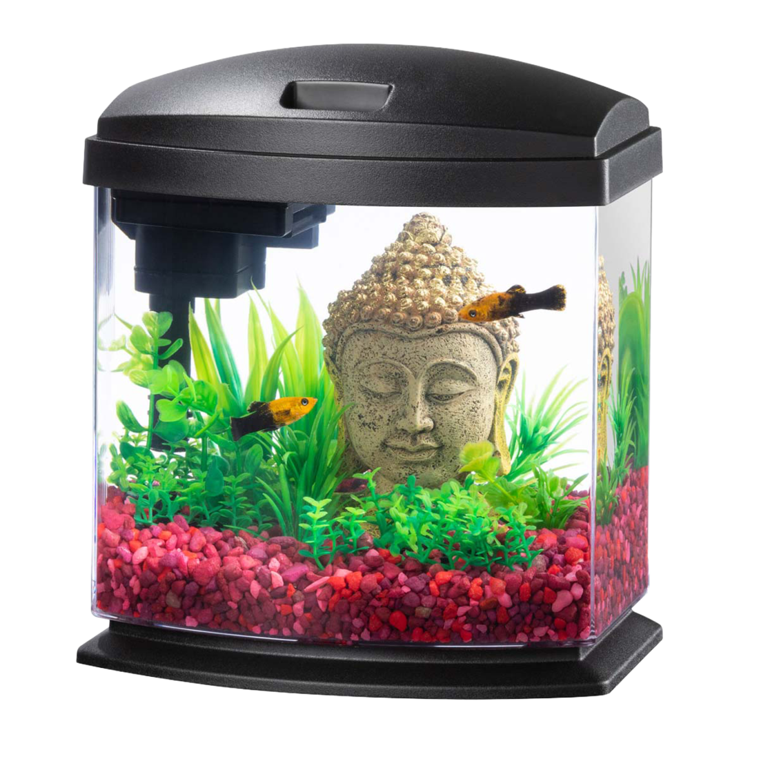 Aqueon LED MiniBow™ Kit with SmartClean™ Technology, Black, 1 Gallon