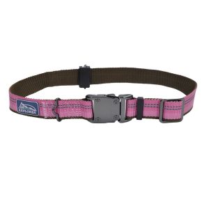 Coastal Collar ROB K9