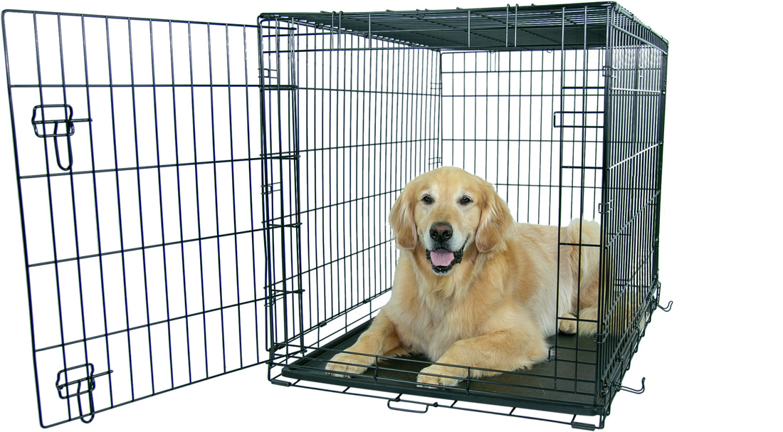 Play On Single Door Crate - Image 4