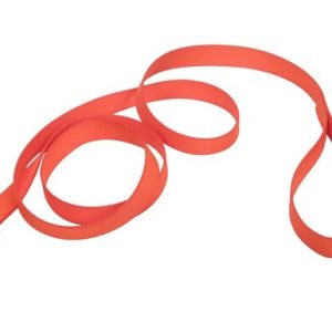Coastal® Single-Ply Dog Leash, Neon Orange, 1" x 6'
