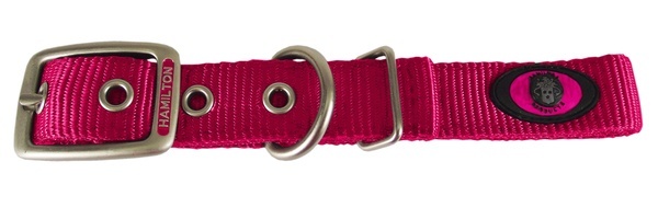 Hamilton Double Thick Nylon Dog Collar - Image 5