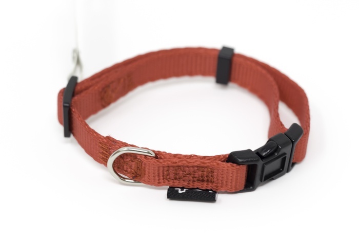 PS+ Dog Collar 8-12 Inches - Image 4