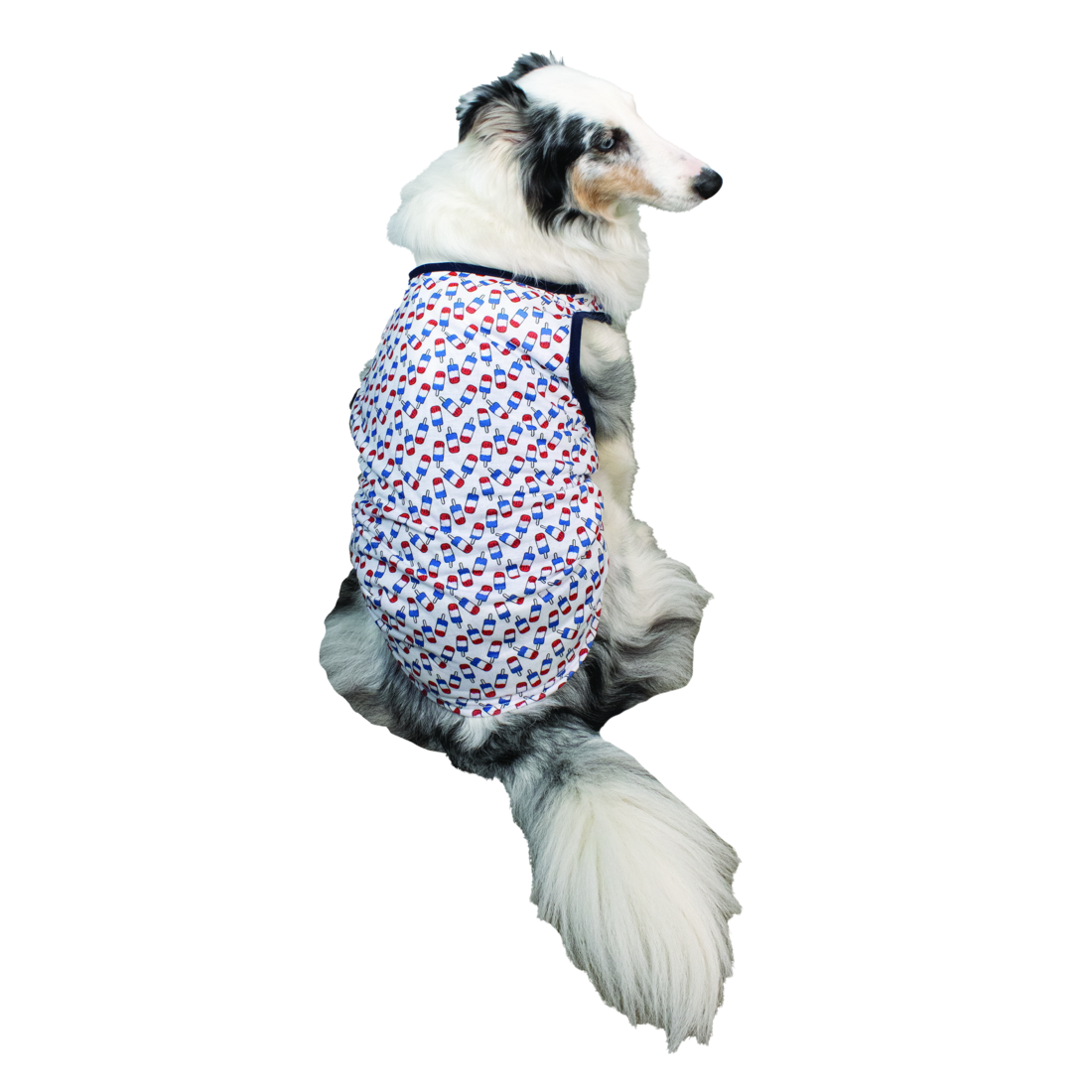 Play On Americana Popsicle Tank, Large