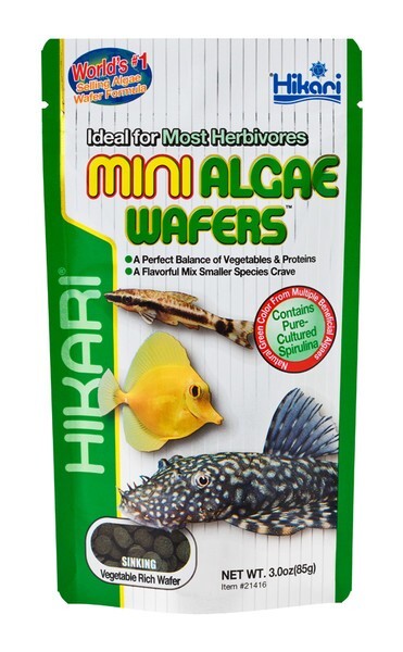 Hikari® Mini Algae Wafers™ 3 Ounces - Daily Diet