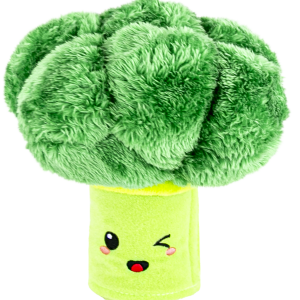 Play On Dog Toy 2-in-1 Interactive Broccoli