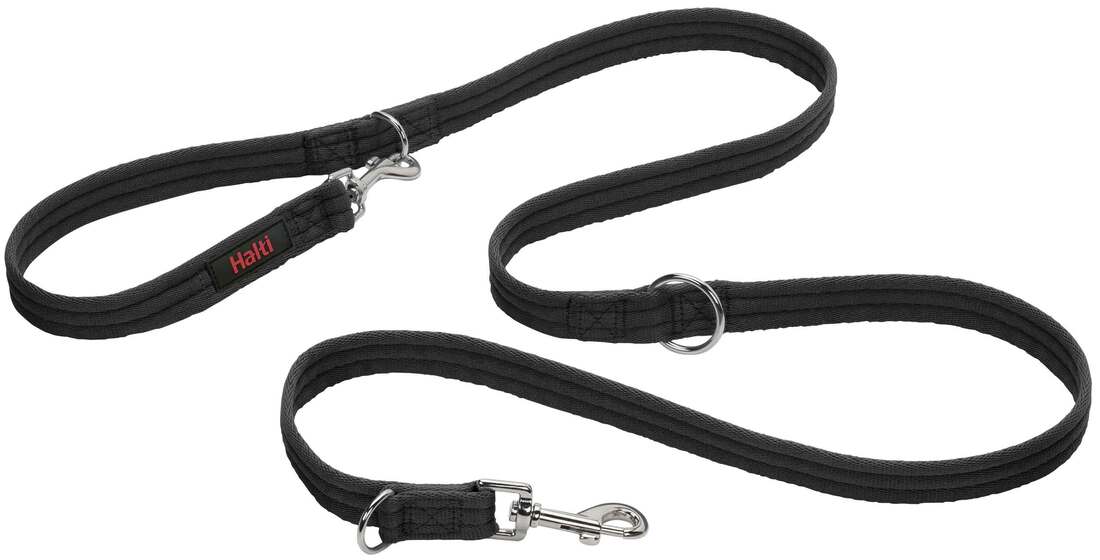 Company Of Animals Training Lead