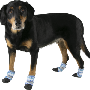 Play On Dog Cooling Boots