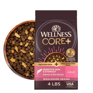 Wellness CORE+ Sensitive Skin & Stomach Wholesome Grains Natural Dry Dog Food, Salmon & Rice Recipe