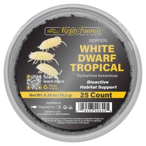 Reptifauna White Dwarf Tropical Isopod, 25 Count