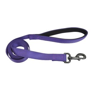 Coastal Comfort Dog Leash, Purple, 1" x 06'