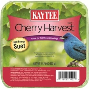 Kaytee Suet Wild Bird Food, Cherry Harvest, 11.75 Ounces