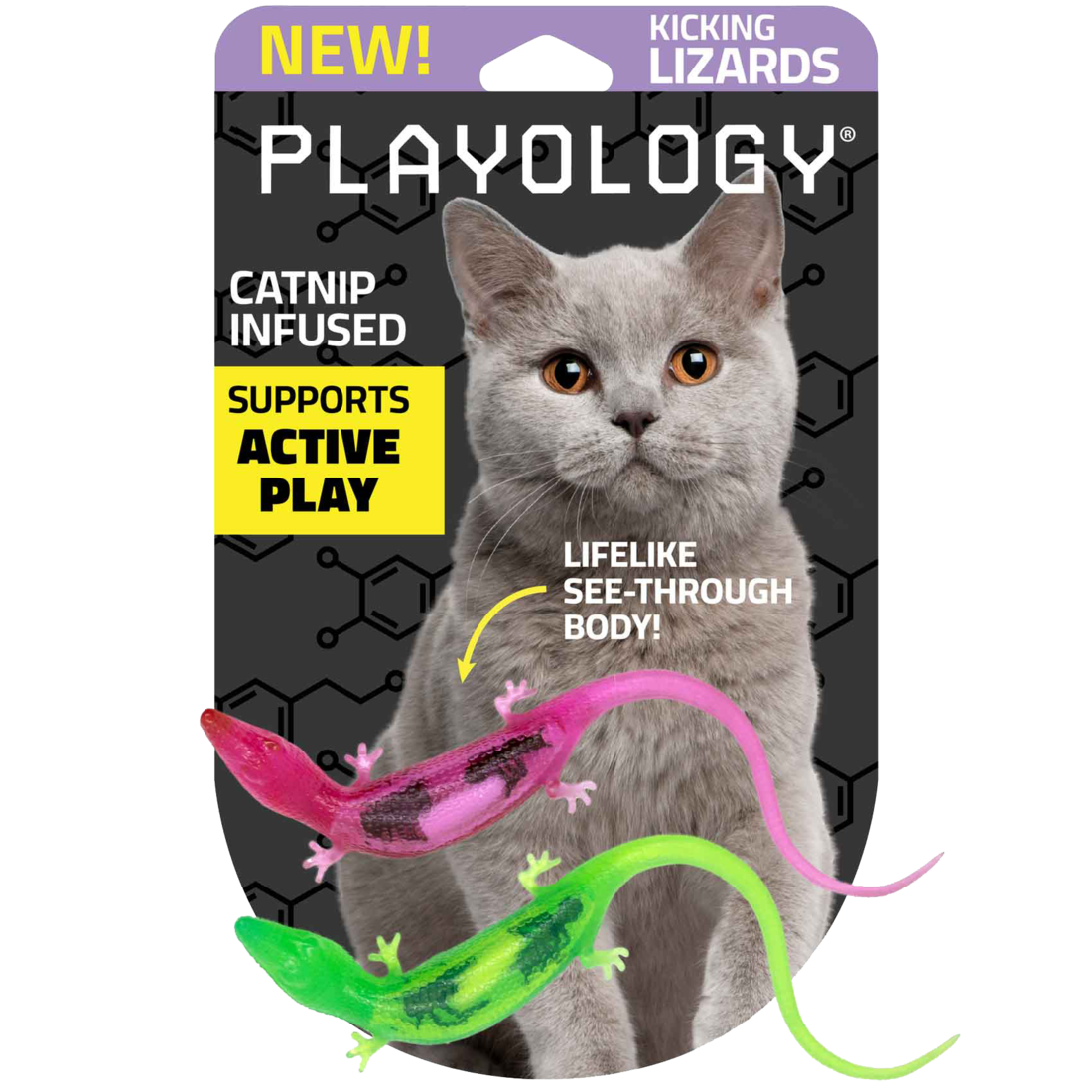 Playology Lizards with Bugs Cat Toy, 2-Pack