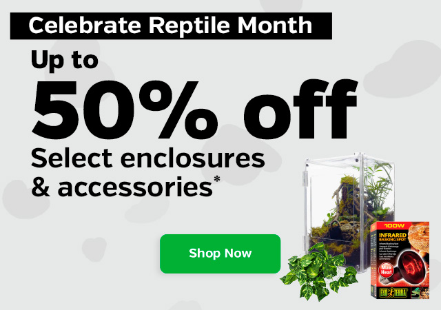 Celebrate Reptile Month