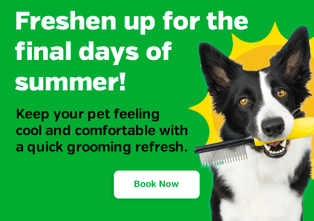 Freshen up for the final days of summer