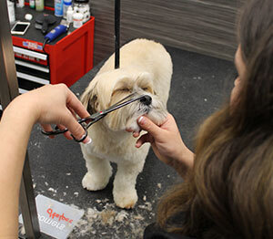 Grooming Services Offered