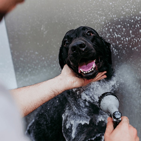 Give a Good Rinse