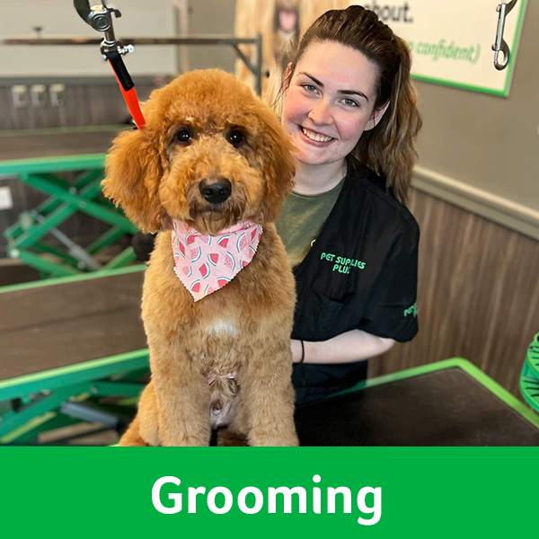 Grooming