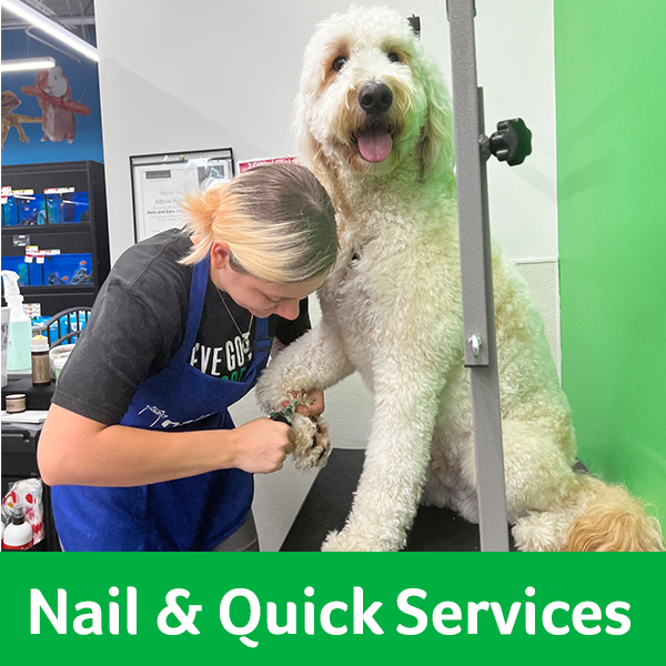 Nail and Quick Services