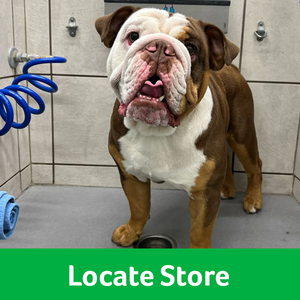 Pet Wash - Locate Store